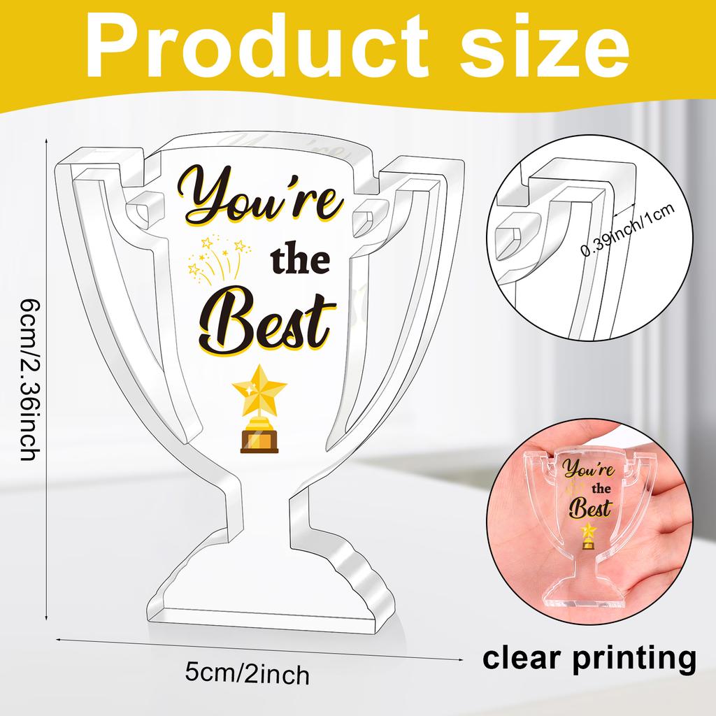 Piaopiaoniu 12 Pcs Appreciation Acrylic Trophy Awards Bulk Mini Employee Appreciation Gifts Small Thank You Plaque For Recogniti