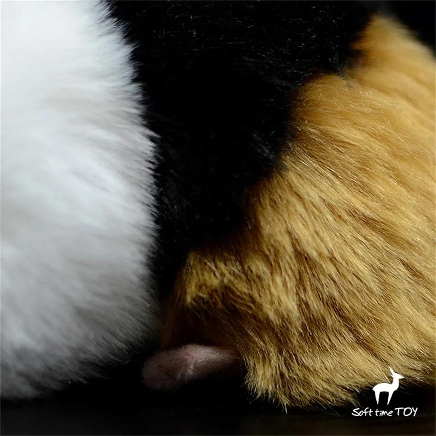 Guinea Pig High Fidelity Anime Cute Plushie Cavy Plush Toys Lifelike Hamster Animals Simulation Stuffed Doll Kawai Toy Gifts