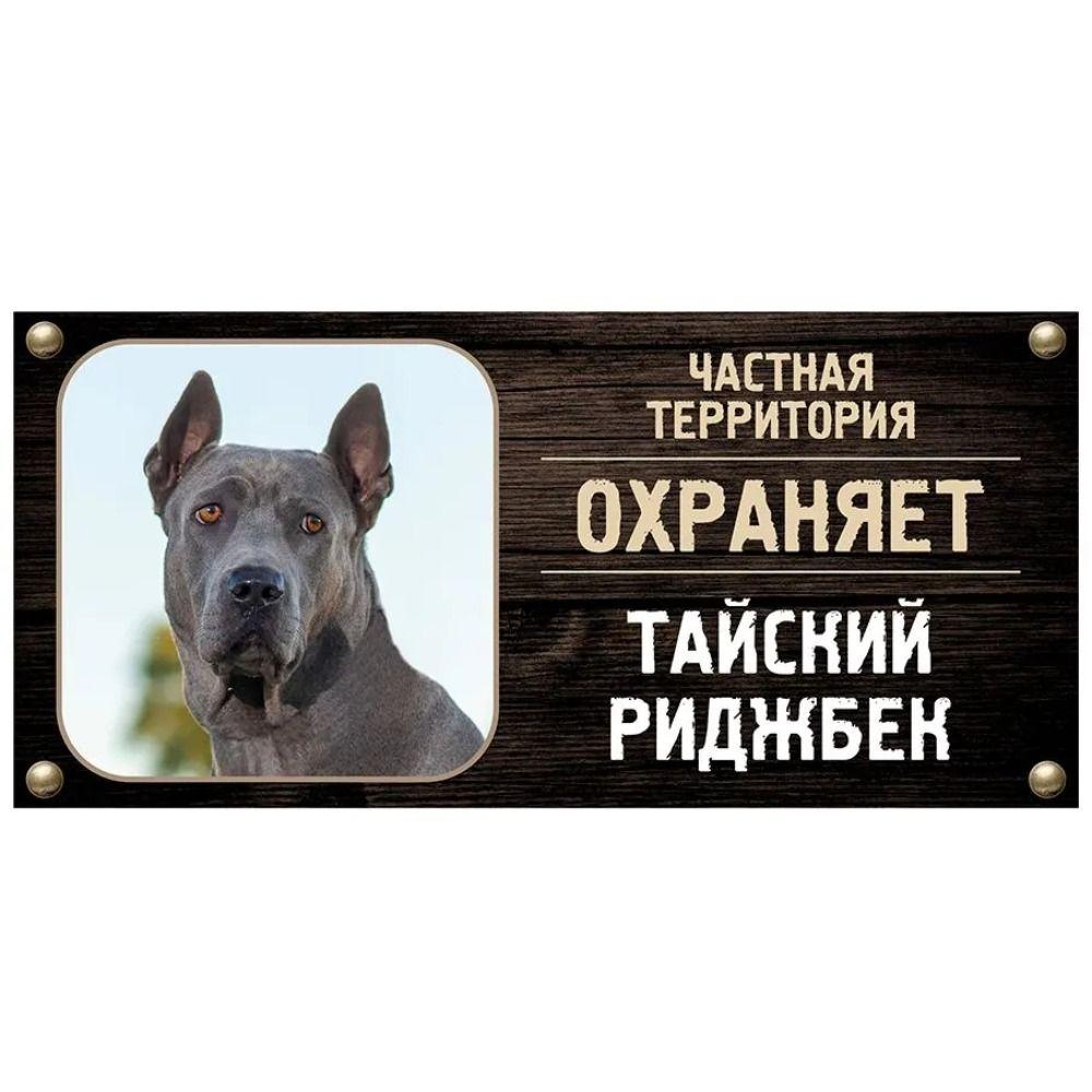 DORA Tin Sign Guard Dog Private Property Sign Metal House Number Plaque