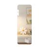 Oujian Full-Length Invisible Cabinet Dressing Mirror