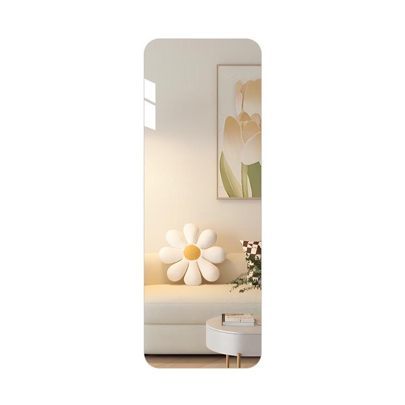 Oujian Full-Length Invisible Cabinet Dressing Mirror
