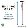 Nakabayashi Aluminum Walking Stick, Folding, Thin Neck, 5 Height Adjustments, Flower Purple, RQS-K012FP