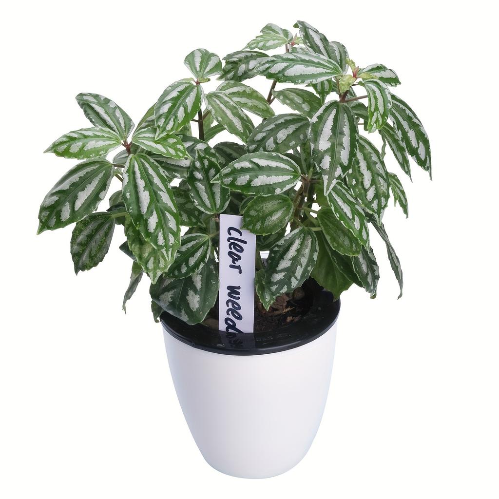 100pcs Plant Labels 4-Inch Plastic Plant Name Tags Waterproof Garden Labels for Flowers Herbs Potted Plants And Vegetable Pots