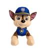 Patrol Plush Paw Toys Stuffed Doll Ryder Rubble Chase Rocky Zuma Skye
