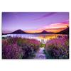 Canvas print, Purple paradise
