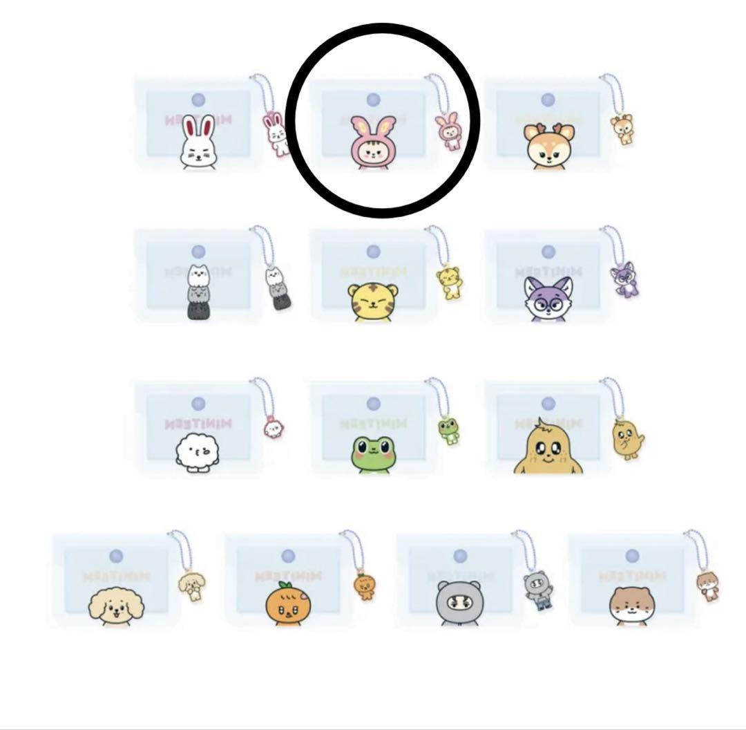 

[USED] MINITEEN Transparent Pouch JJONGTRAM (Not sold in Japan)