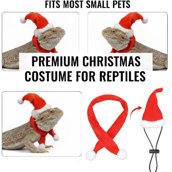 Reptile Christmas Costume: Bearded Dragon Santa Hat & Scarf Set with Adjustable Chin Strap for Lizards, Ferrets