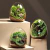 Creative Egg-Shaped Glass Terrarium for Succulents and Moss