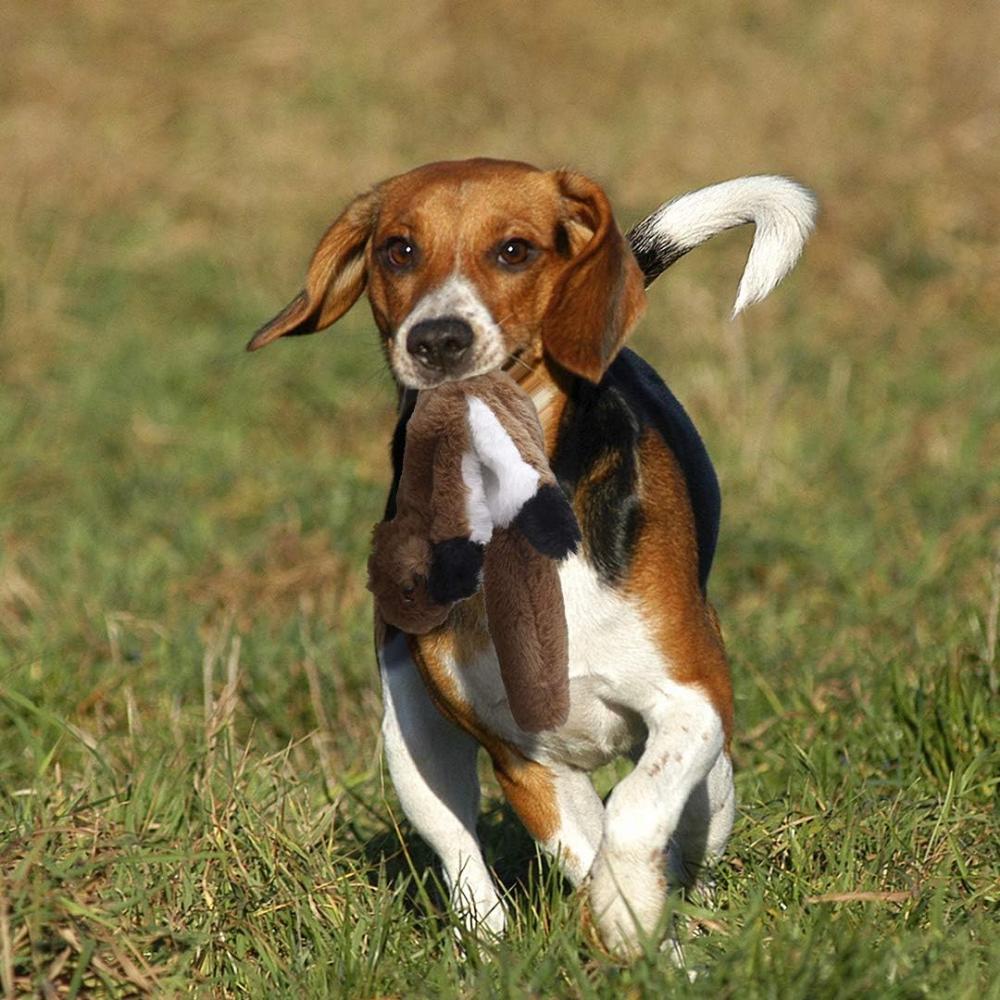 5er-Pack Hundequetschspielzeug Haustier Knisterspielzeug Ohne Füllung Tiere Weiches Plüsch Hundekauspielzeug für mittlere und große Hunde