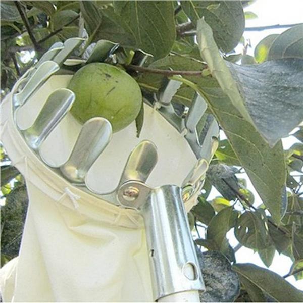 14cm de di/ámetro 20cm de profundidad Herramientas de recolecci/ón de frutas Recogedor de frutas Recogedor de frutas Cesta de la cosecha para la recolecci/ón de la cosecha Manzana C/ítrica Pera Melocot/ón