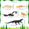 TOYMANY 12PCS Animal Figures Wild Animal Figure Set Realistic Animal Models Zoo Theme Popular Animals Toys Birthday Present Decoration Christmas New Y