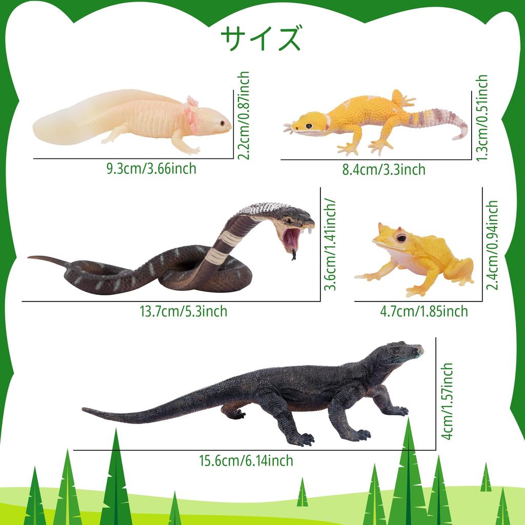 TOYMANY 12PCS Animal Figures Wild Animal Figure Set Realistic Animal Models Zoo Theme Popular Animals Toys Birthday Present Decoration Christmas New Y