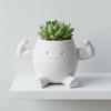 3D Printed Plant Pots Show Muscle Style Small Flower Pot Flower Plant Planter Office