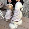 Soft Thin Summer Dog Dress Cute Style Puppy Clothes New Lace Dog Dresses  for Small Dogs