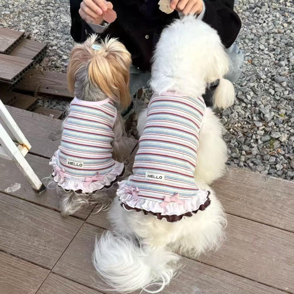 Cute Style Summer Dog Dress Soft Thin Lace Dog Dresses New Teddy Dog Skirt for Small Dogs