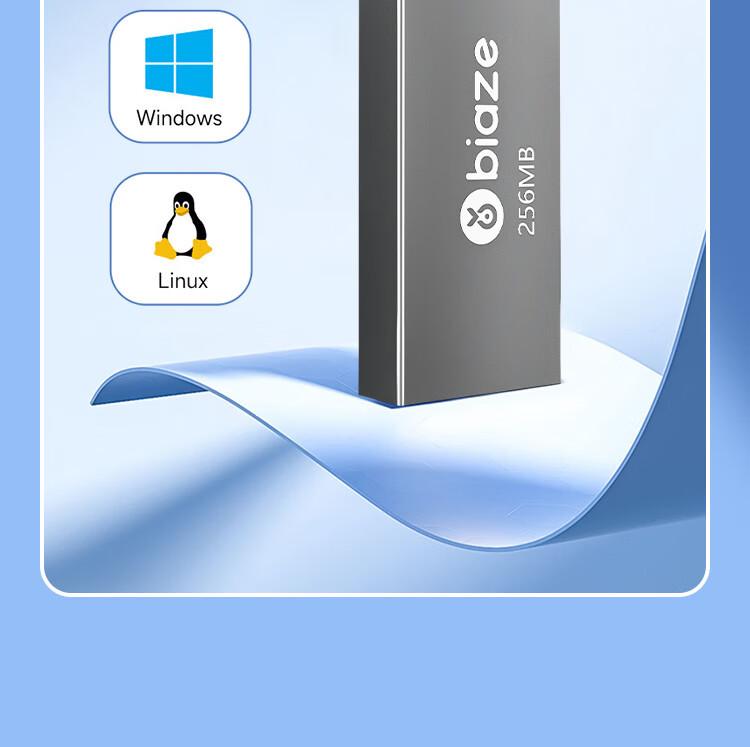 Biaz 4GB USB 2.0 Waterproof Metal Flash Drive, 10-Pack Box