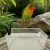Adjustable Bird Training Perch With Easy Mounting Clip On Design for Cage Table Bird Standing Perch Cage Accessories