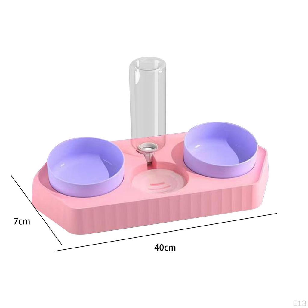 Dog Bowls Drink Fountain Cat Food Dishes Pet Feeding Station Detachable Non Slip Automatic