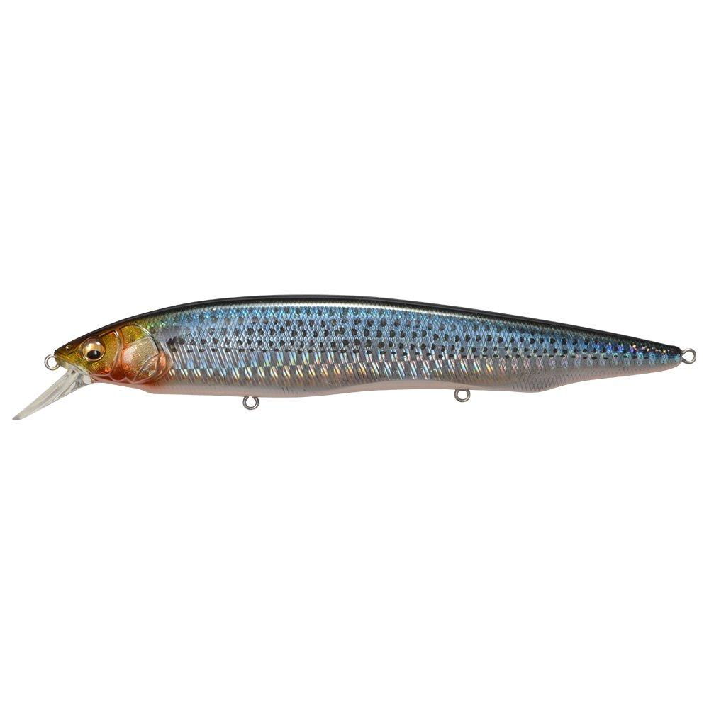 

Megabass Minnow Kanata Ayu SW Ayu GG Flashing Konoshiro 35863 Lure (Kanata SW) (Gizzard shad)