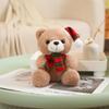 Christmas Teddy Bear with Hat - Cute Plush Doll Gift