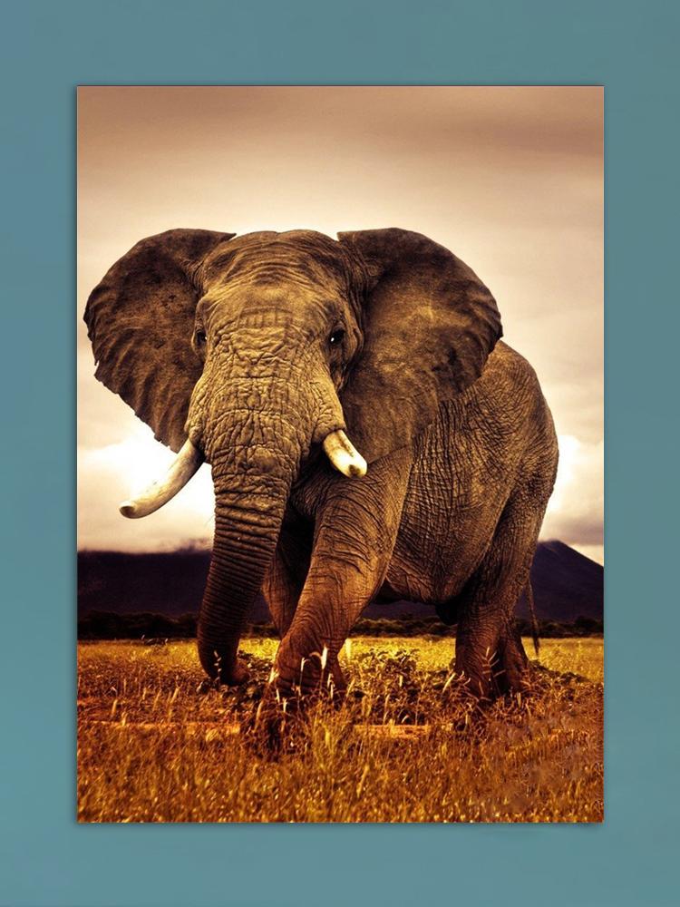 African Elephants Posters Modern Home Decor Animal Canvas Prints Wall Art Pictures for Living Room Interior Decorative Painting