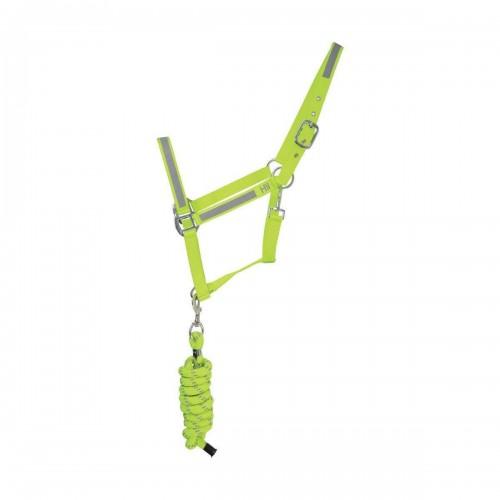 HyVIZ Reflector Head Collar and Lead Rope