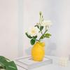 Lemon Ceramic Vase Nordic Ins Feng Shui Cultivation Flower Vase Home Fresh Desktop Decoration Crafts Home DIY Decor