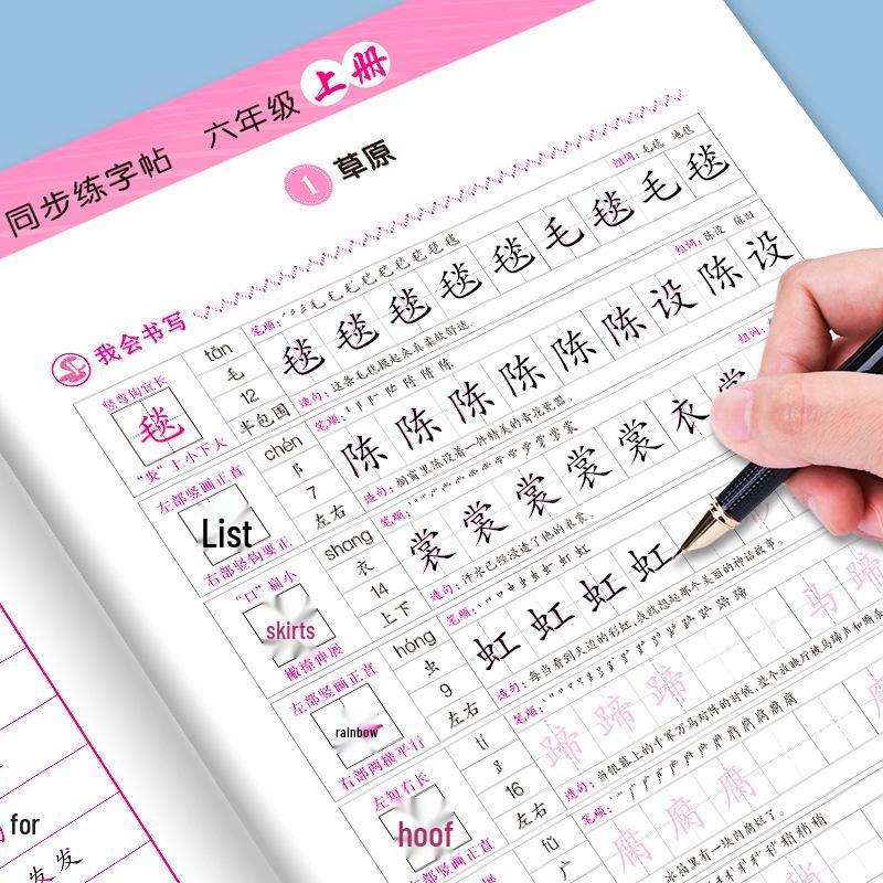 Renjiao Edition Chinese Practice Book: Grades 1-6 Upper & Lower Volumes - New Words