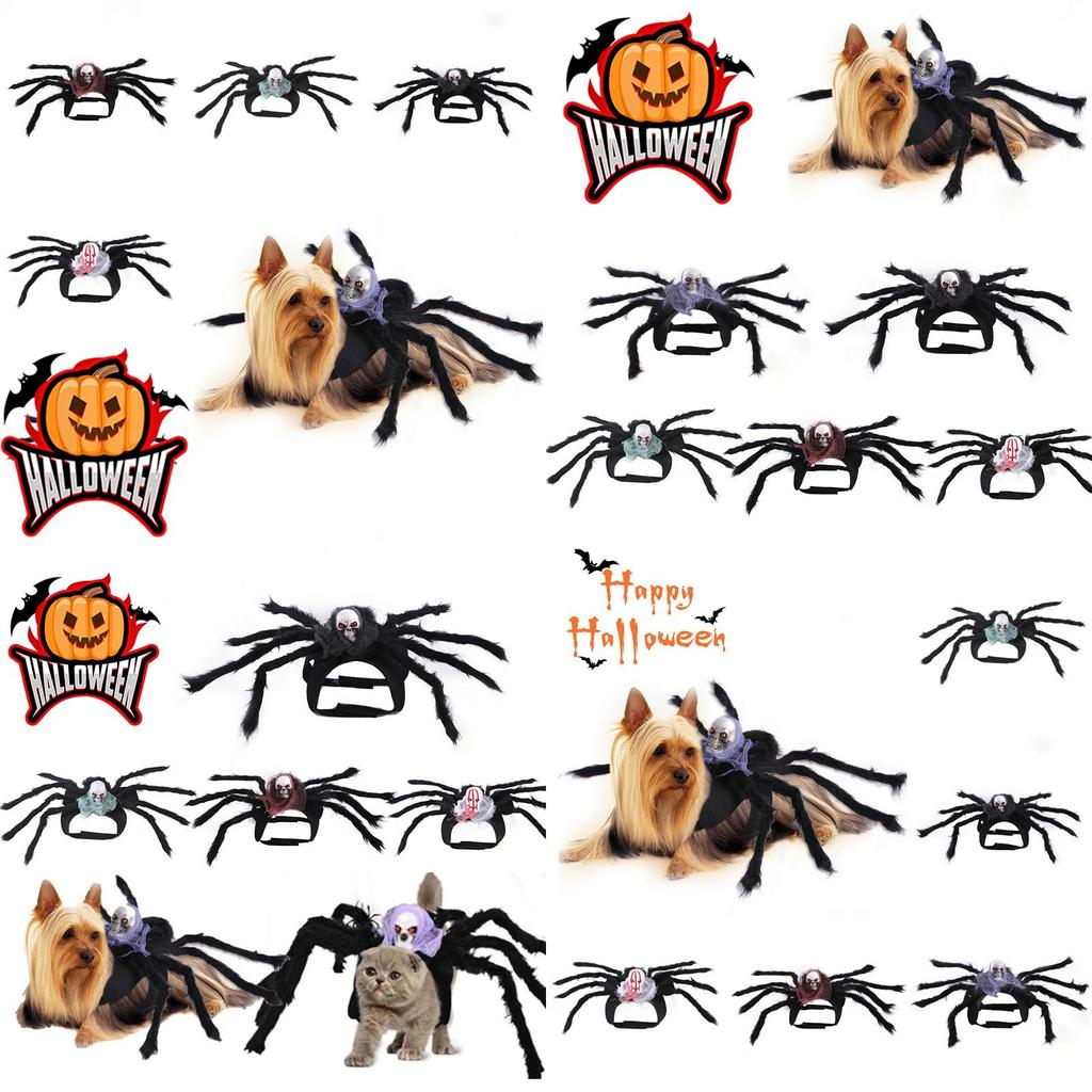 Cute Pet Spider Costume For Halloween Party