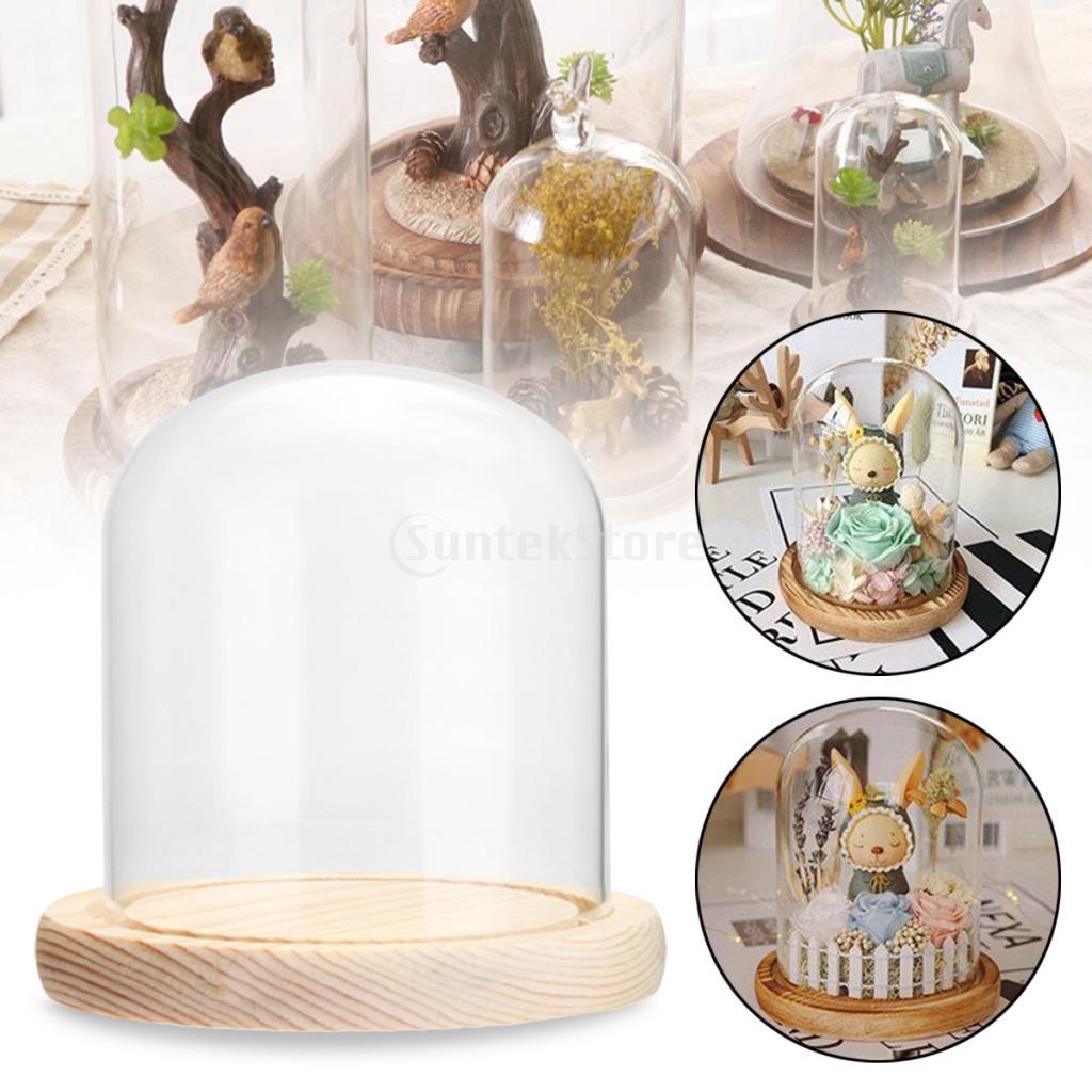 Clear Glass Display Dome with LED Wood Base Microlandscape Holder Glass Cover for Birthday Gift Bedroom Home Decoration