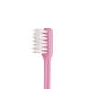 Toothbrush Invented by Toothbrush Craftsman Jukichi Normal the Back Tapered 1 Piece X 24 Pieces Set Easy-to-brush Tanabe, (to Teeth) LT-12,