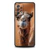Animal Camel Phone Case for Samsung Galaxy A55 A35 A15 A14 A13 A25 A54 A51 A71 A72 A73 A32 A52 A41 5G Soft TPU Shell Fundas Bags