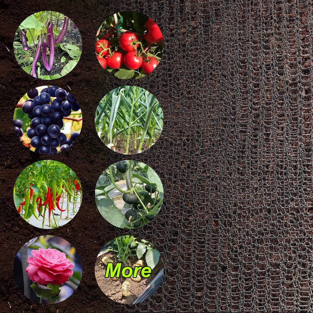 Plant Root Protector 304 Stainless Steel Plant Root Protection Mesh Bag for Fruits Berries Vegetables