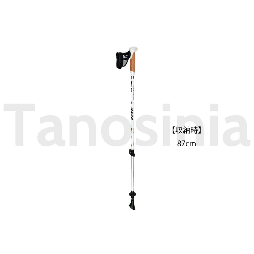 extendable Nordic walking poles for with replacement rubber Naito 16 Flick Lever Aggressive One set and Lightweight, men, tips. Two-Pole NWP-2162203