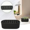 Scallion Regeneration Container, Vegetable Planting Box