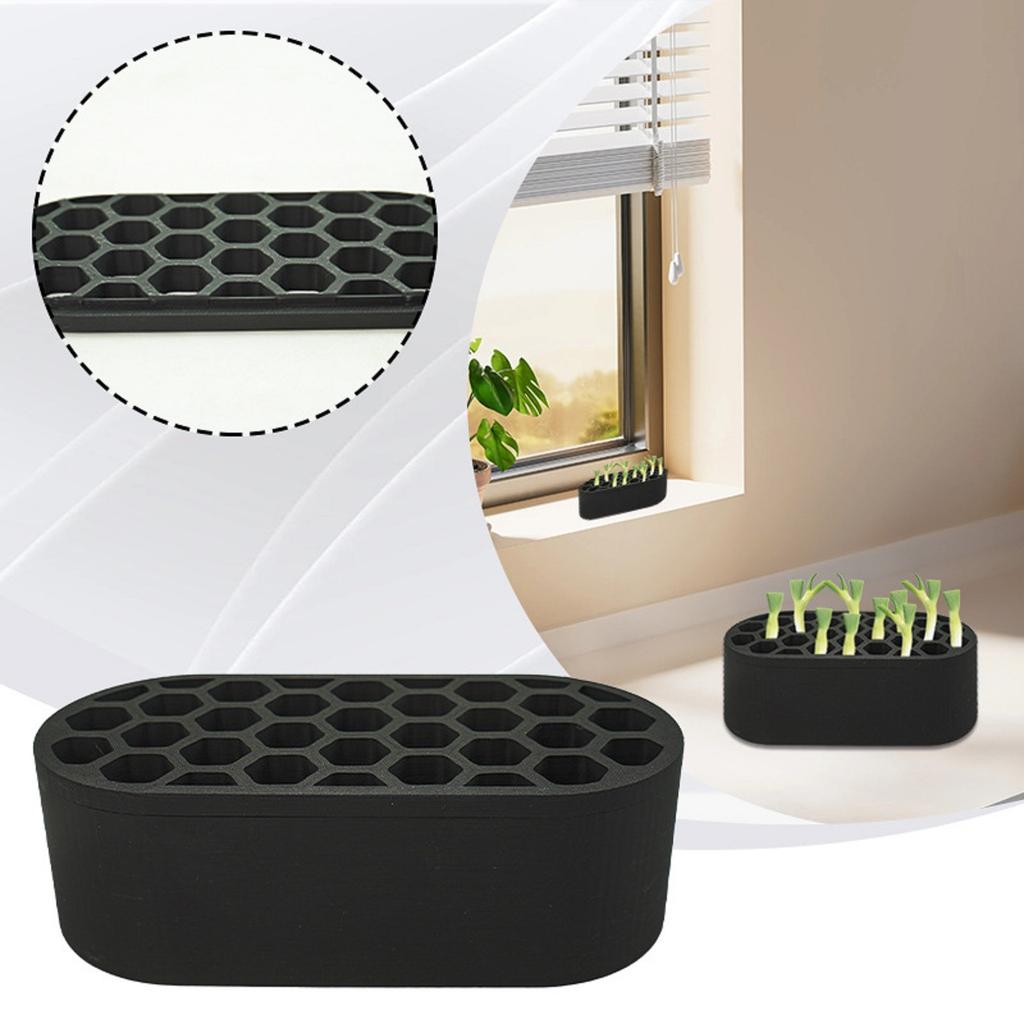 Scallion Regeneration Container, Vegetable Planting Box