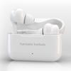 Language Translator Earbuds 127 Languages High Accuracy Dual Mic Noise Reduction Real Time   Translation Earbuds