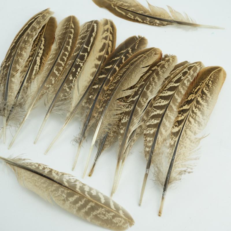 15-18cm Natural Pheasant Feathers for DIY Crafts Premium Handmade Costume Accessories Fly Tying & Wedding Decor Supplies Bulk