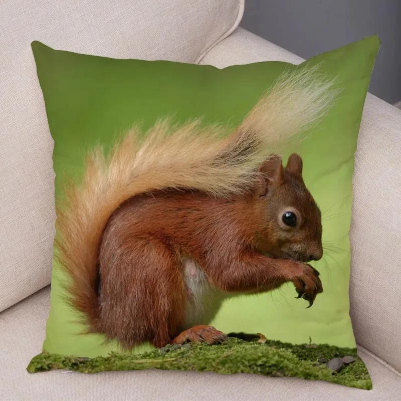 Cute Squirrel Cushion Cover Pillowcase Pillow Covers Home Decor Pet Animal Pillows Case Super Soft Polyester Pillows Covers