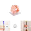 Functional Wall Mounted Mop Organizer Holder Featuring Space-saving Broom Hanger Design