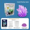 Children's Crystal Growing Science Kit: STEAM Educational Toy for Primary Students