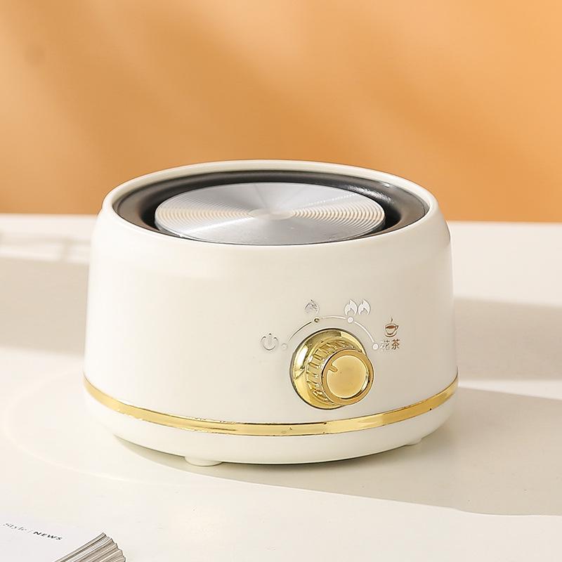 Multifunctional Mini Electric Health Stew Cup: Glass Heating Pot for Office & Flower Tea Gift Set