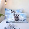 Cute Kitten 3D Printed Duvet Cover Set Soft Comfortable Polyester Luxury Bedding Set Cute Animal Style Quilt Cover Pillowcases