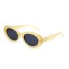 Sunglass Korean Sunglasses Retro Women Eyewear Sunnies UV Protect Fashion Eyewear