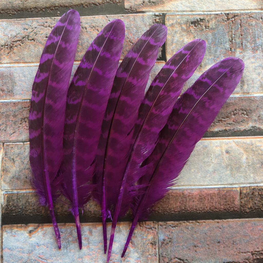 10 Pcs Beautiful High Quality 10-15cm/4-6inches Natural Pheasant Feathers 11 Colors Optional DIY Decorative