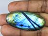 96 cts. Labradorita natural multifuego, cabujón ovalado suelto, 23 x 51 x 8 mm, SK-1173