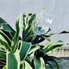 Mushroom Glass Drip Irrigation Device for Potted Plants