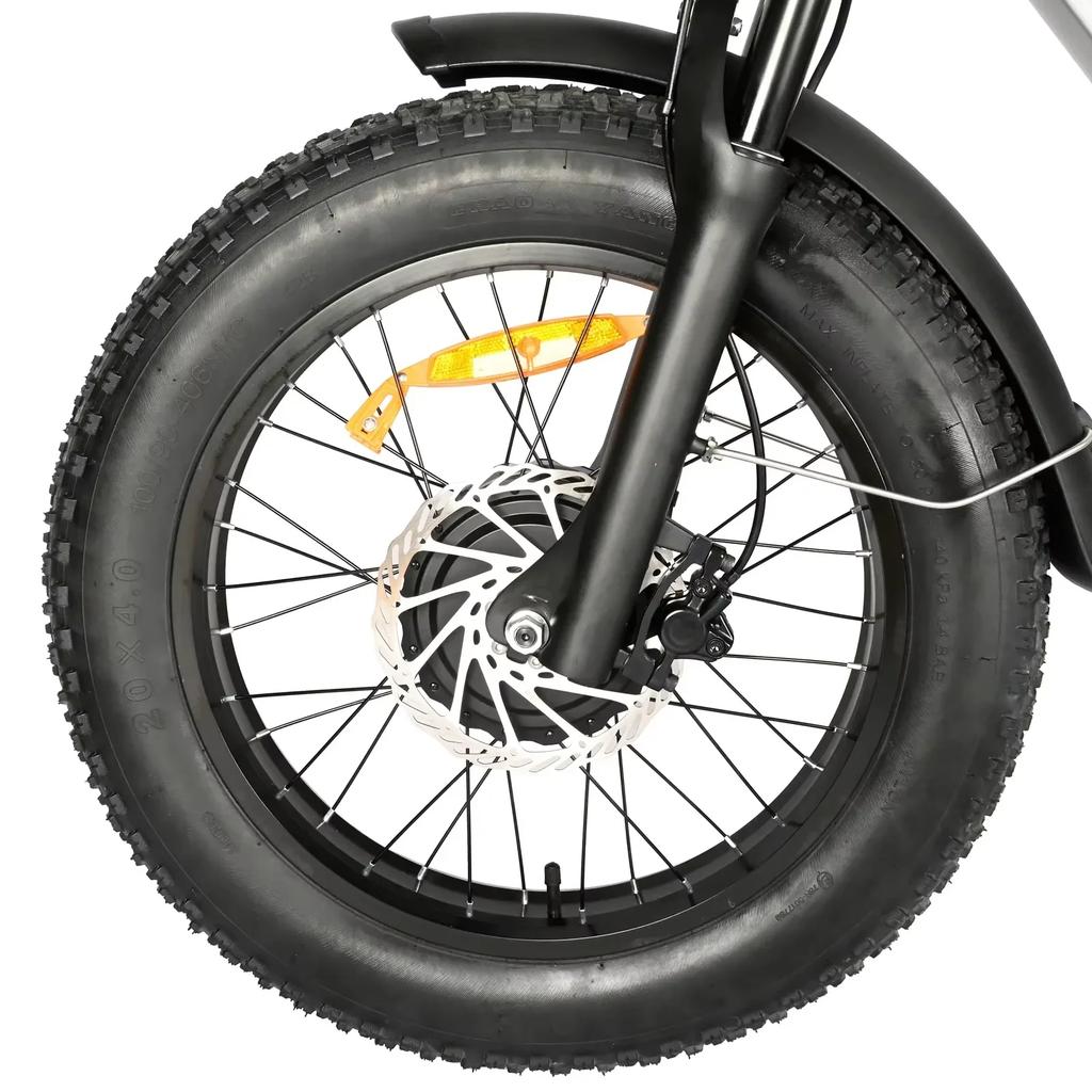 BAOLUJIE DP2033 Electric Bicycle 2000W Dual Motor 48V30AH Lithium Battery 20*4 Inch Fat Tire Mountain Electric Bike