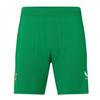 Castore Mens 2023 Ireland Home Shorts