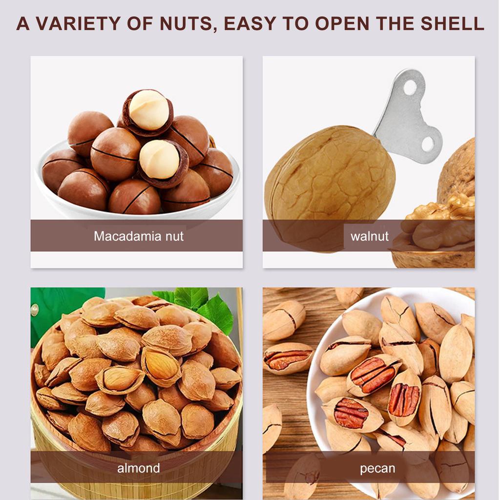 Pack of 20 Nut Openers for Macadamia Hazelnut and Pecan Stainless Steel Construction Walnut Opening Tool Kitchen Gadget